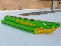 "Alligator"